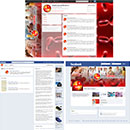 facebook page design service